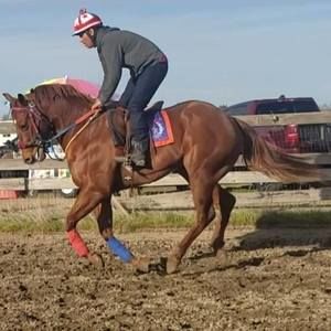 Meet your Posher, Alfredo